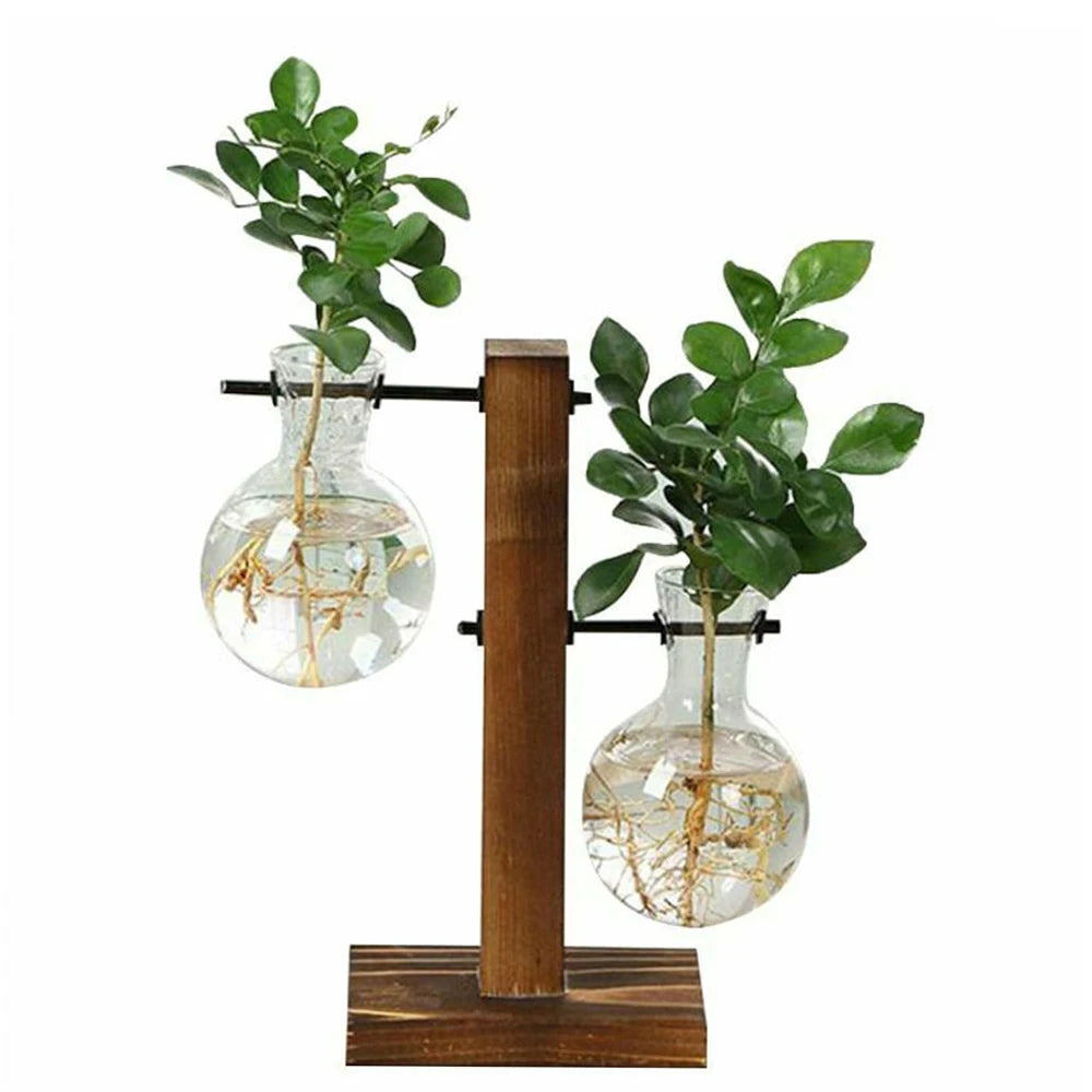 Glass Bulb Planter Vase