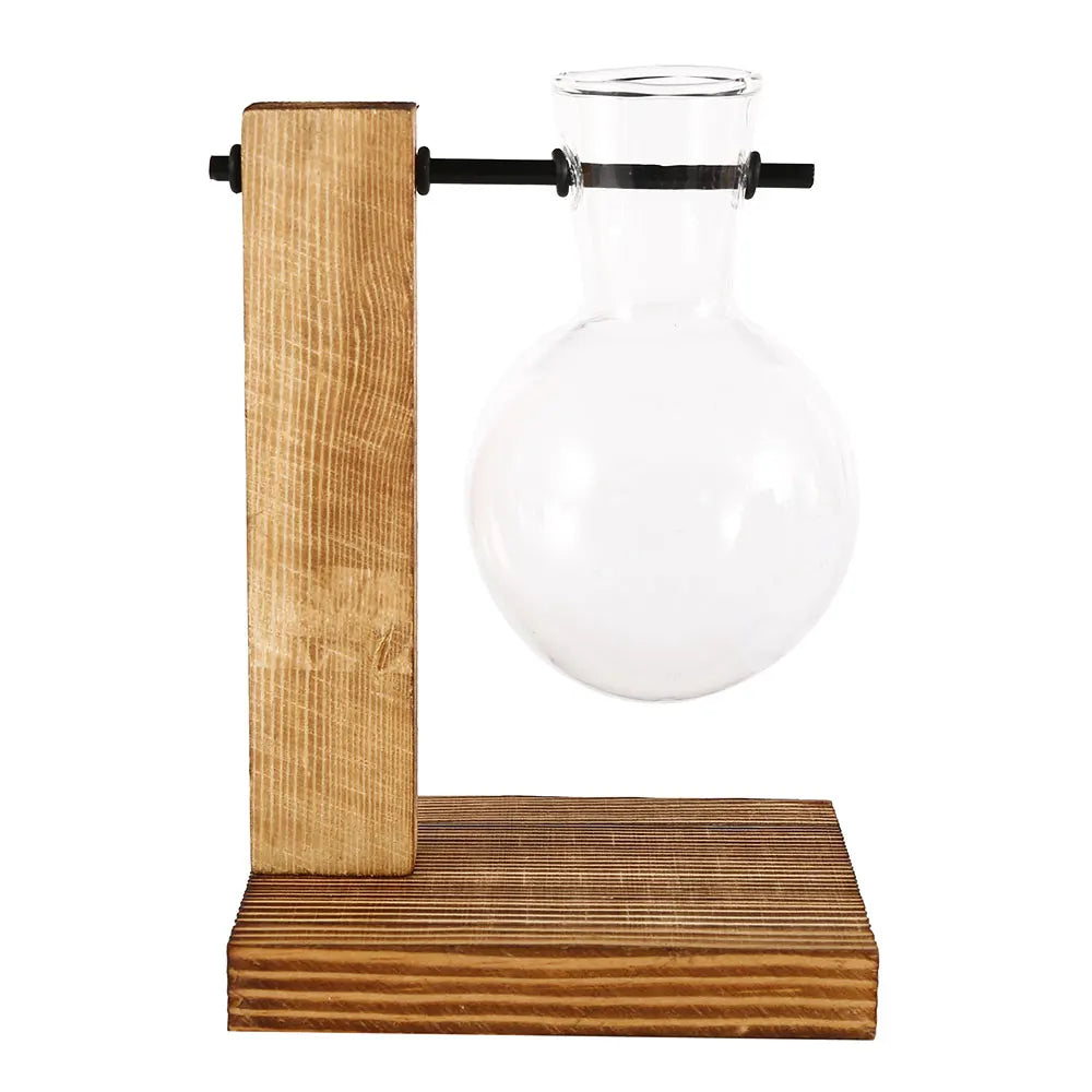 Glass Bulb Plant Vase